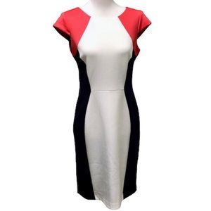 Ronnie Nicole ColorBlock Dress 💙❤️🤍